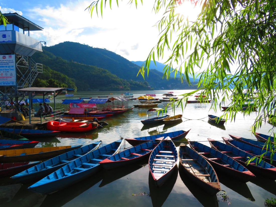 7516809776_img_06652